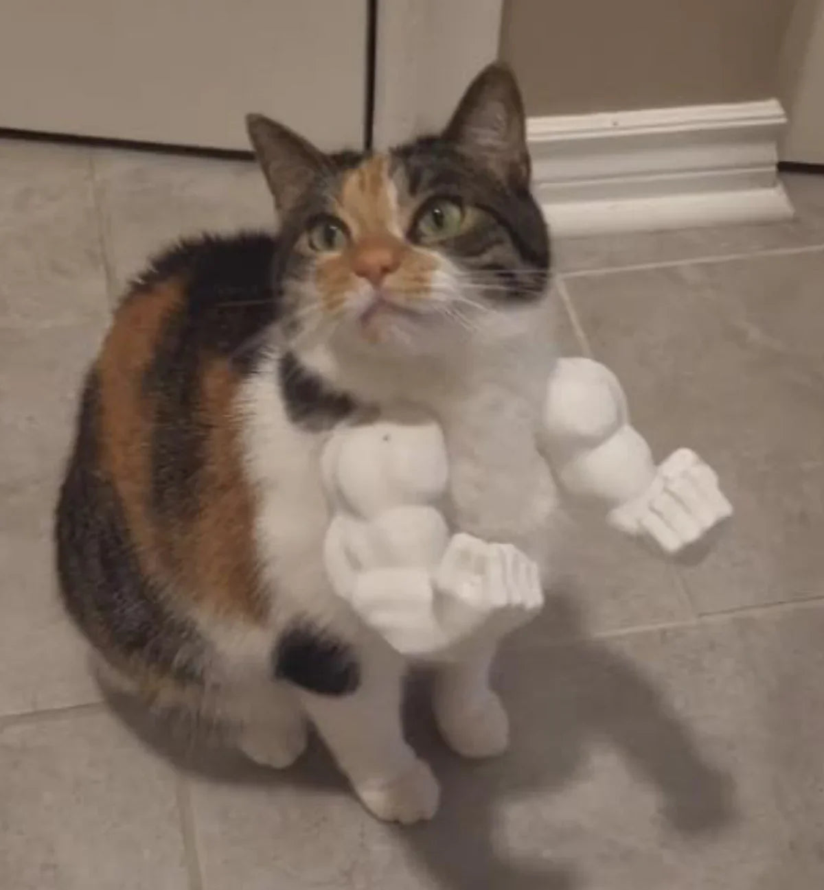 3D Cat Hulks Arms